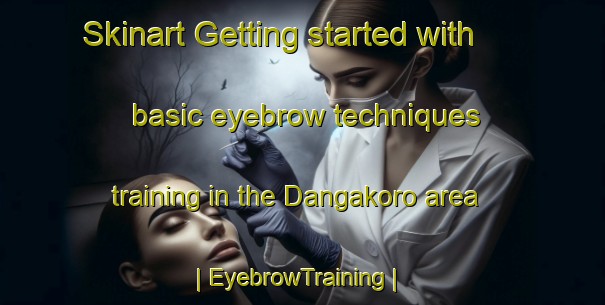 Skinart Getting started with basic eyebrow techniques training in the Dangakoro area | EyebrowTraining | EyebrowClasses | SkinartTraining-Mali